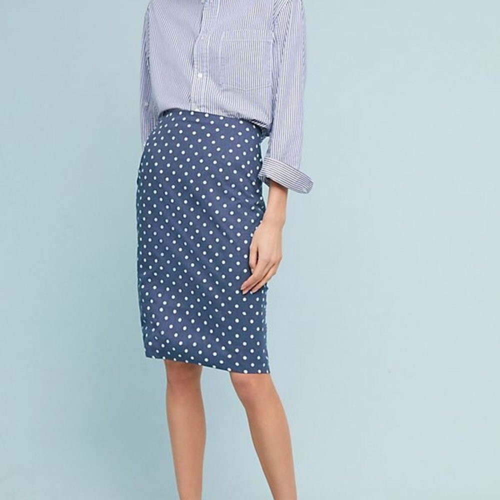 Ann Taylor LOFT pencil skirt | size 2